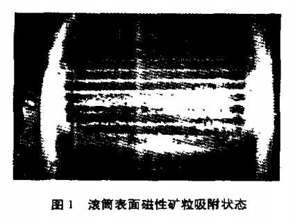 滾筒表面磁性礦粒吸附狀態